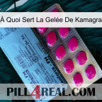 À Quoi Sert La Gelée De Kamagra 35